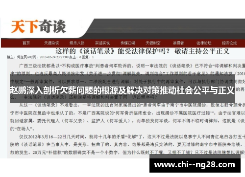 赵鹏深入剖析欠薪问题的根源及解决对策推动社会公平与正义