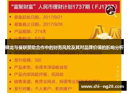 骁龙与曼联赞助合作中的财务风险及其对品牌价值的影响分析 骁龙与曼联赞助合作中的财务风险及其对品牌价值的影响分析