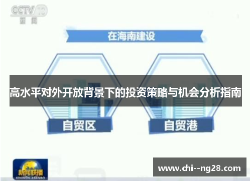 高水平对外开放背景下的投资策略与机会分析指南 高水平对外开放背景下的投资策略与机会分析指南