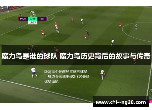 魔力鸟是谁的球队 魔力鸟历史背后的故事与传奇 魔力鸟是谁的球队 魔力鸟历史背后的故事与传奇