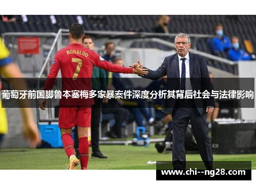 葡萄牙前国脚鲁本塞梅多家暴案件深度分析其背后社会与法律影响